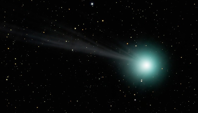Comet LoveJoy 2014