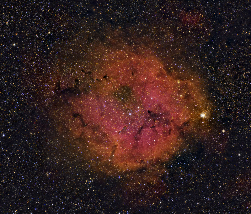 IC1396 Crop