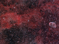 Crescent Nebula Wide Field