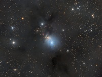 NGC1333