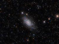 Galaxy NGC2403
