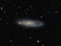 NGC247