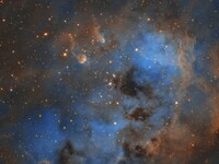 IC410 and Tadpoles